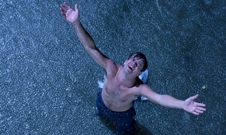 5 histórias de Stephen King para quem acha que ele só escreve terror